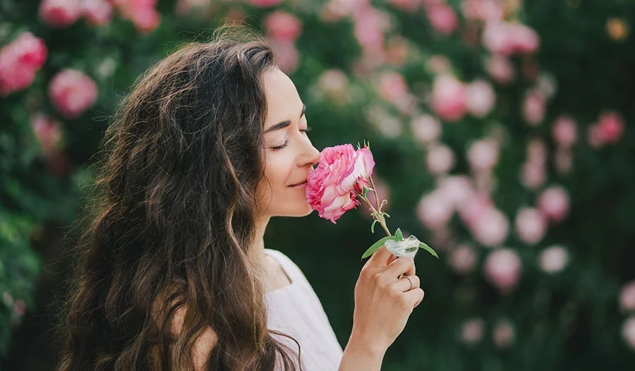 Động từ chỉ giác quan và cách dùng